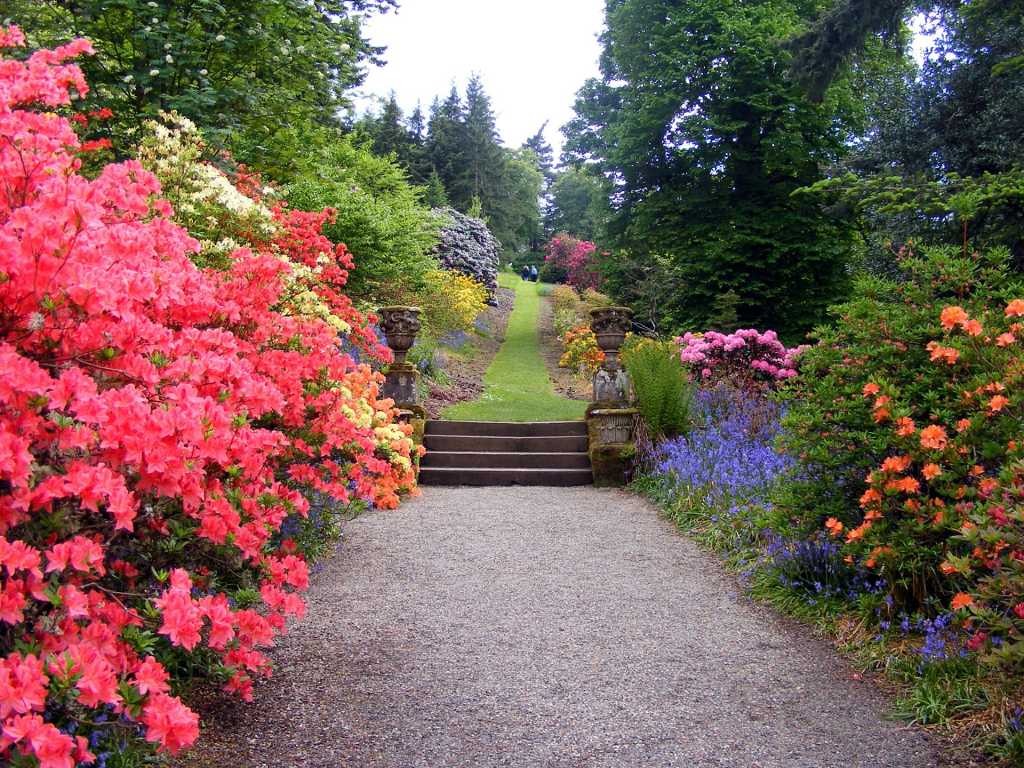 Gravel Garden Path with Flowers
