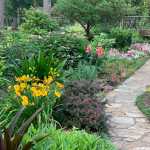Paved garden path with colourful flowerbeds either side